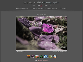 Sophia Field Photography Screenshot